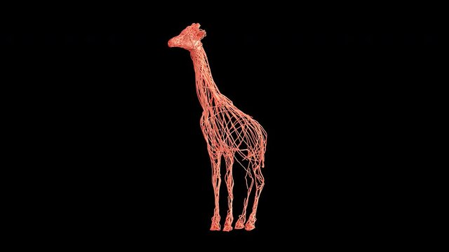 Artistic Giraffe revealed from wire. A rotating 360 degree camera reveals it. It's a 4K .mov ProRes 4444 with Alpha Channel footage.