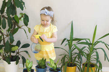 Funny little girl gardener with plants in the room at home.  Child watering and caring for indoor plants. Transplants flowers. Home gardening concept. Earth Day. Little helper by chores.