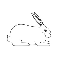 Rabbit meat breed linear outline empty vector illustration.