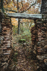 Corridor in nature in autumn