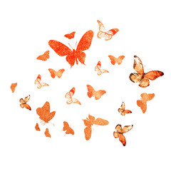 Flock of silhouette butterflies on white