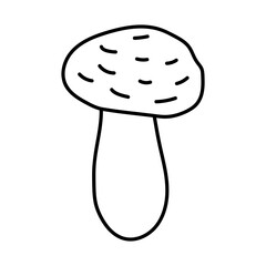 Autumn nature doodle element