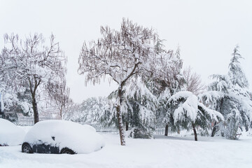 Horizontal view car parked under the snow in the street. Cars still not recovered from the snowstorm in Madrid in winter.