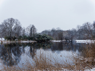 Winterszene im Grüttpark Lörrach im Markgräflerland. Landschaftspark mit kleinem See (Grüttsee)