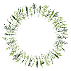 Round frame with grass silhouettes - wild herbs isolated on white - herbal elements for spring and summer natural design