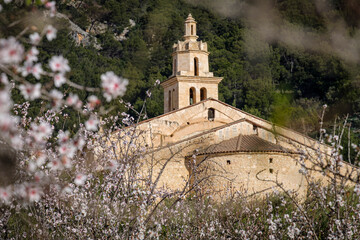 Fototapeta na wymiar Parish Church of La Immaculada Concepció and almond blossom, Caimari, Mallorca, Balearic Islands, Spain