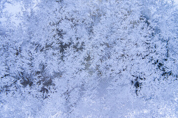 Winter snowflakes crystals on glass. Close-up macro photo