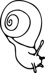 Doodle snail. Outline