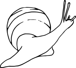 Doodle snail. Outline