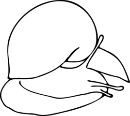 Doodle snail. Outline