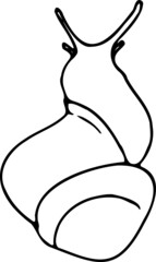 Doodle snail. Outline