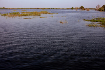 Water brimming in the Palar river submerging plants, Tamil Nadu, India