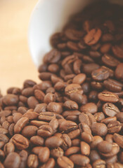 Heap of roasted coffee beans sprinkled from a white cup.
