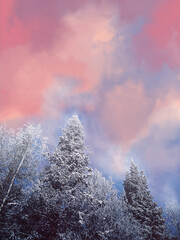 Stunning winter frosty landscape. The tops of coniferous trees in the snow against a handdrawn blue-pink sky. Cold winter day. Copspace.