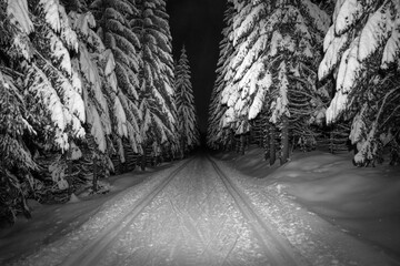 Night cross-country skiing