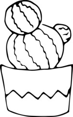 Hand draw Cactus