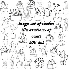 Hand draw Cactus