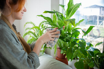 Obraz premium Beautiful young girl gardener is engaged in houseplants in the house. Home gardening, creating coziness and beauty, handwork, lifestyle.