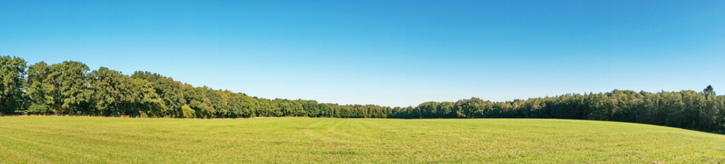 Weide im Sommer am Waldrand - Wiese mit Bäume Panorama