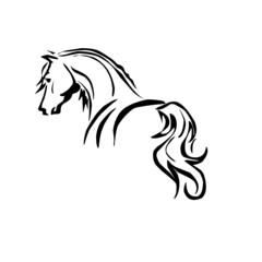 Illustrasion horse line art  icon ,vector eps.