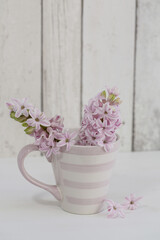 Spring Still Life With Hyacinths