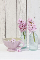 Spring Still Life With Hyacinths