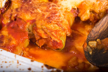 Zucchini rolls with vegetable filling baked with cheese in a baking dish close-up