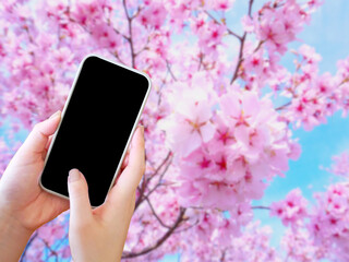 スマートフォンを操作する女性