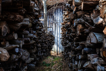 firewood near old barn