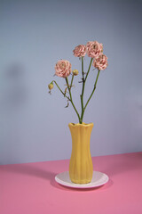 Dried roses in a yellow vase on a white saucer. Withering, aging, sadness and death concept