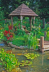 Seating under gazebo in water garden with flowers, grasses and plants