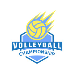 volley ball logo with text space for your slogan tag line, vector illustration