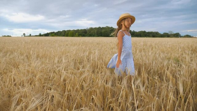 Close up of beautiful small girl with long blonde hair walking through wheat field. Cute child in straw hat touching golden ears of crop. Little kid in dress going over the meadow of barley.Dolly shot