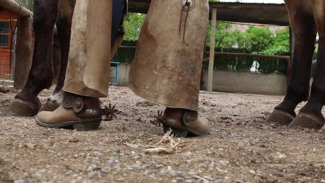 A cowboy gets off his horse with his boots and spurs. Cowboy boots and spurs. A cowboy dismounts from his horse and shows his boots, chaps and spurs