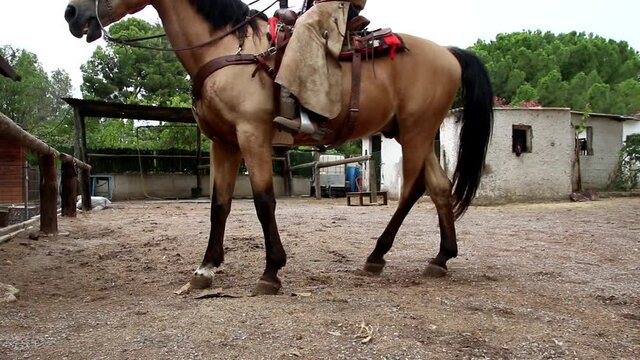 Western Cowboy Arriving on Horse &ndash; Ranch Home Footage