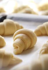 Close up of texture and layered of a fluffy leavened uncooked traditional French croissants dough roll in a baking tray&paper sheet, Croissant is a buttery,flaky,viennoiserie pastry of Austrian origin