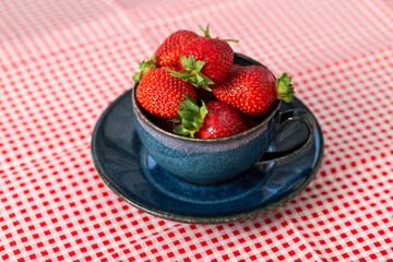 Beautiful, sweet, freshly picked strawberries in a ceramic cup and saucer on a checkered tablecloth. Organic garden berries