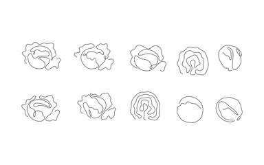 One line art style cabbage. Abstract creative food in minimalism design. Hand drawn vector illustration. 