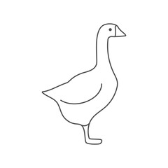 Goose poultry linear outline empty vector illustration. 