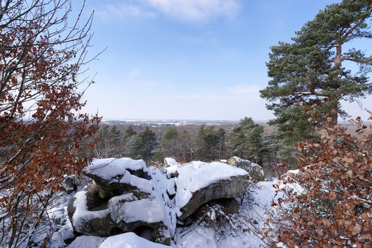 Camp de Chailly panorama in Fontainebleau forest. Winter season