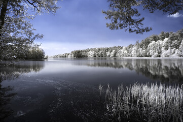 Landscape, view seen through an infrared filter