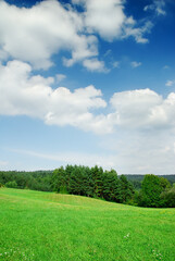 Idyllic landscape, view of green fields and blue sky