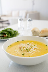 Bowl of Chicken Noodle Soup