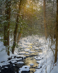 Brook on a winter morning in Stokes State Forest, New Jersey