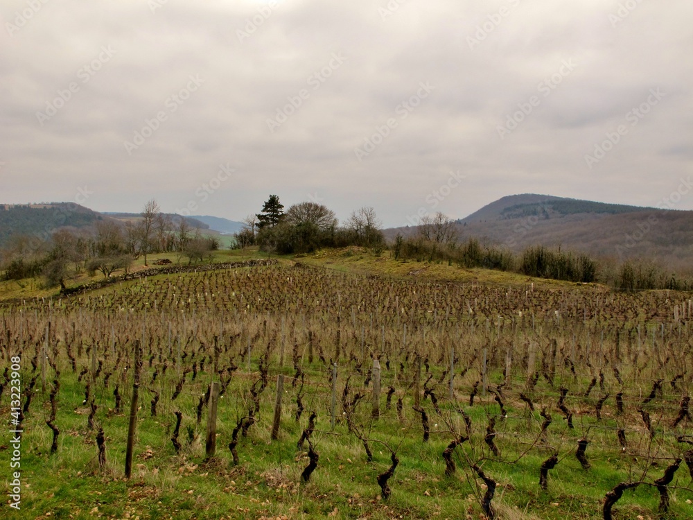 Poster Vignoble sur les hauteurs de Mercurey en Bourgogne.