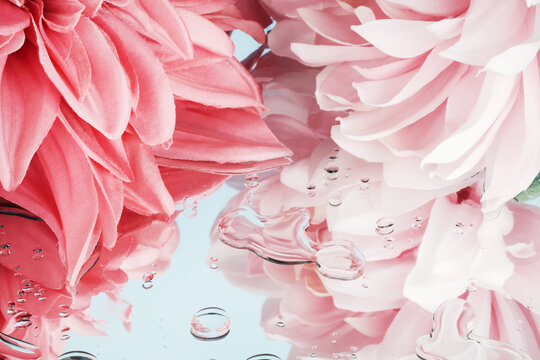 pink flowers on mirrow on blue background. Home decor, eco friendly, relax, gardening concept.Spring minimal concept. Nature background.