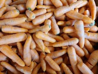 a number of freshly harvested carrots for sale in market