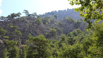 Fototapeta na wymiar Gorge of Agia Irini. mountain view