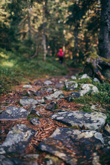 A close up of a rock a grassy hill
