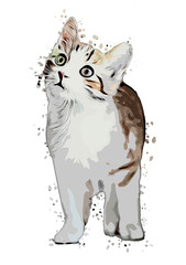 Kunstvoll gemaltes süßes Kätzchen schaut gespannt.